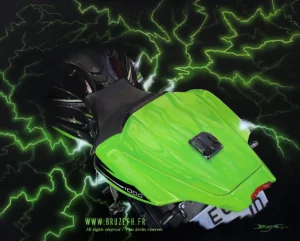 Kawasaki Ninja 1000 ZX-10R - Peinture acrylique sur toile par Bruzefh