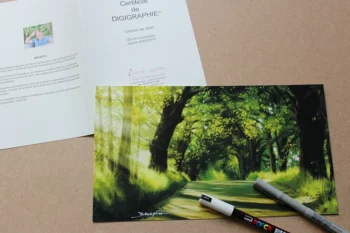 Digigraphie "Chemin de Forêt", boutique www.bruzefh.fr